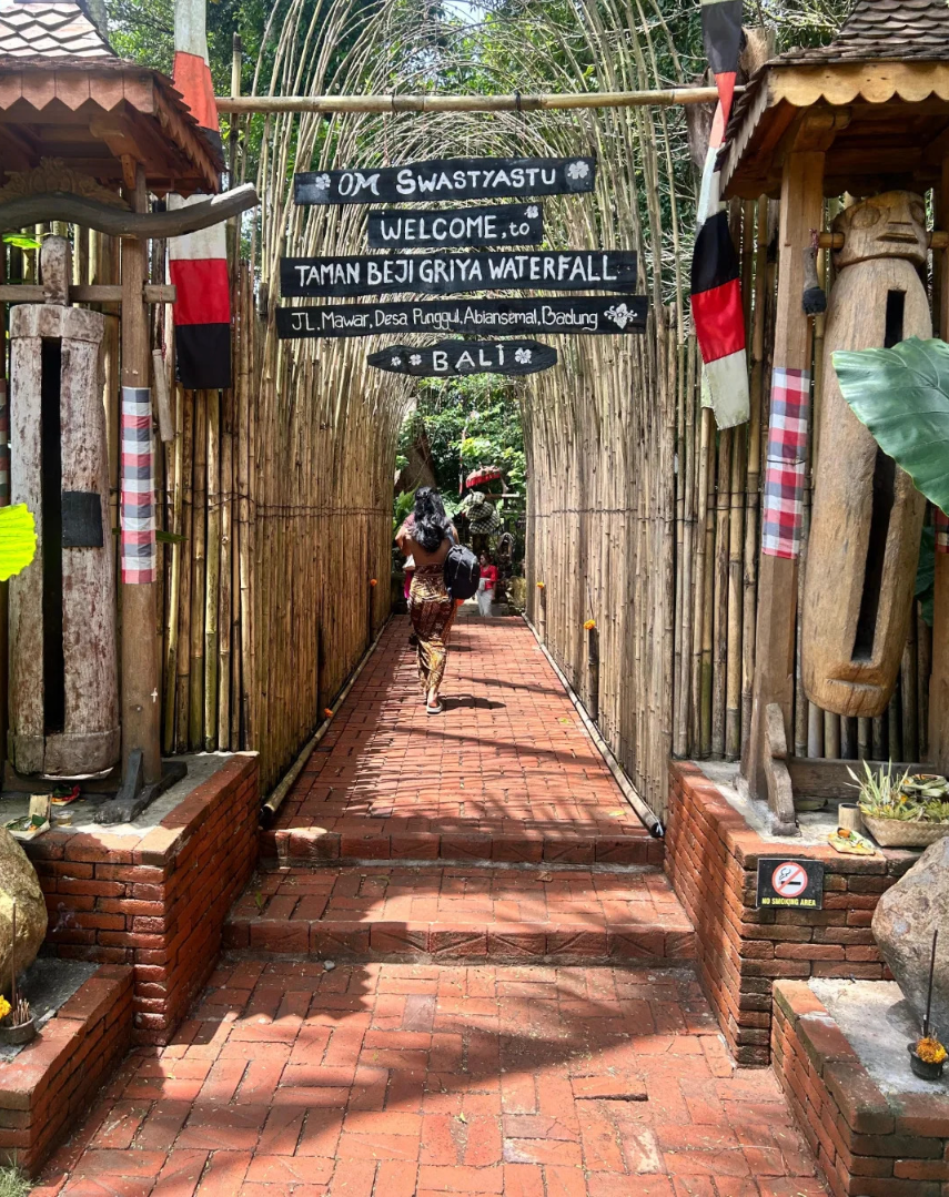 Best Bali waterfall and swing tour price comparison guide