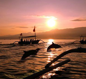 Book 2 day Lovina dolphin tour overnight online sunrise boat