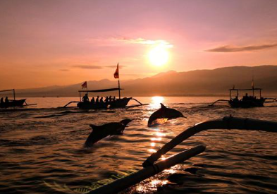 Book 2 day Lovina dolphin tour overnight online sunrise boat