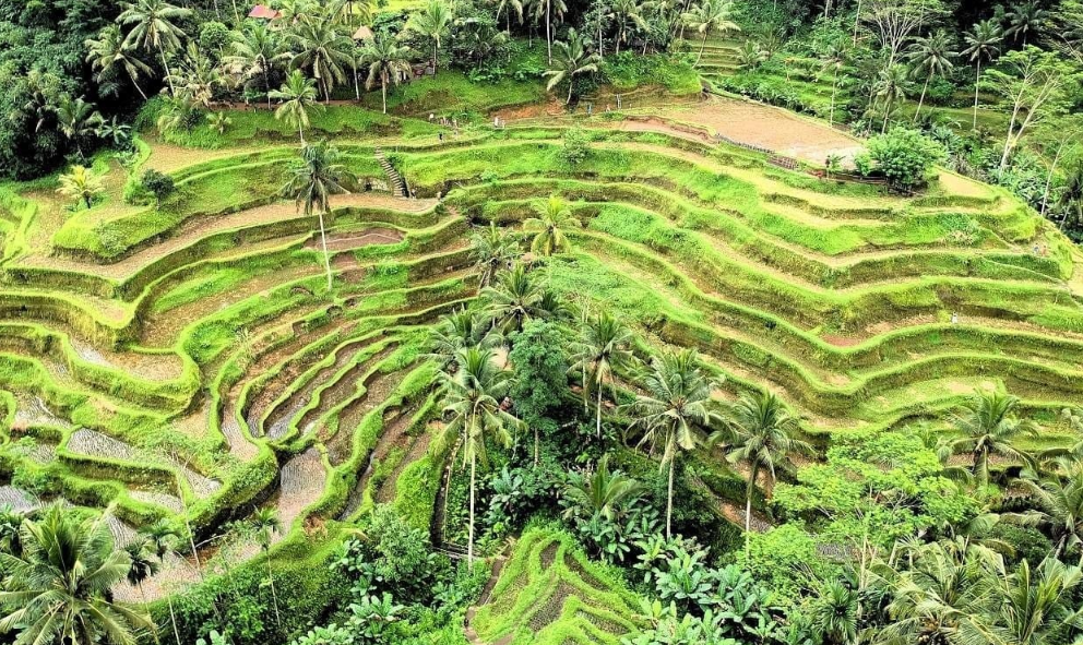 Book 9 Days 8 Nights Bali Tour Package itinerary including Mt Batur and Tanah Lot