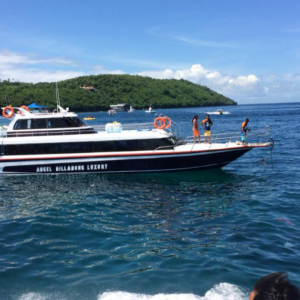 Book Angel Billabong Fast Cruise Sanur to Nusa Penida - Wide Cabin Vessel