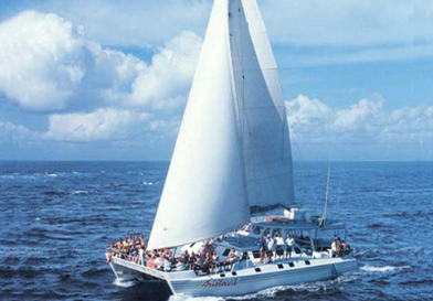 Book Aristocat luxury sailing cruise online 64ft catamaran
