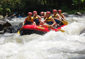 Book Bahama Rafting Adventure Ayung River 2026 - VW Safari & Rafting Combo