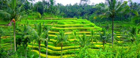 Book Bali 4 days 3 nights tour package with hotel itinerary