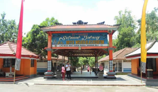 Book Bali 6 days 5 nights tour package with hotel itinerary map