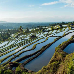 Book Bali 6 days 5 nights tour package with hotel itinerary map