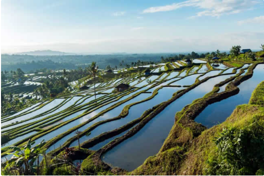 Book Bali 6 days 5 nights tour package with hotel itinerary map