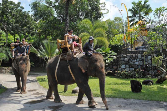 Book Bali Cycling Elephant Ride and ATV Tour - 2026 Adventure