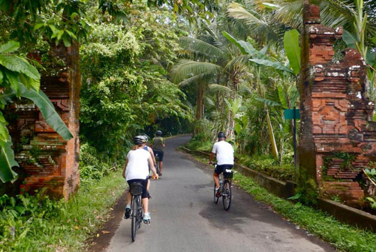 Book Bali Cycling Elephant Ride and Spa Package - 2026 Premium Tour
