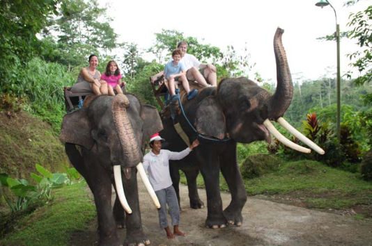 Book Bali Cycling Elephant Ride and Spa Package - 2026 Premium Tour