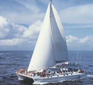 Book Bali Hai Aristocat Castaway Cruise online | Best private beach day trip to Crystal Bay Nusa Penida