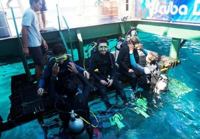 Book Bali Hai Lembongan Island Reef Cruise online pontoon activities