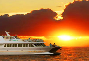 Book Bali Hai Sunset Dinner Cruise tickets international buffet view