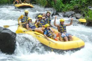 Book Bali Rafting Elephant Ride and ATV Tour - 2026 Adventure