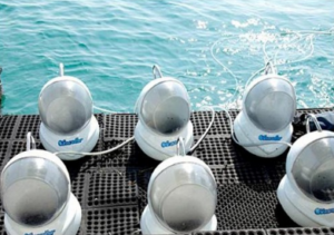 Book Bali Sea Walker Sanur online for family underwater adventure