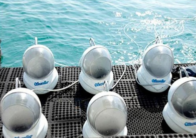 Book Bali Sea Walker Sanur online for family underwater adventure