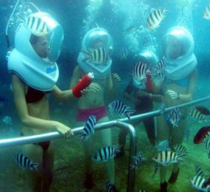 Book Bali Sea Walker Sanur online for family underwater adventure