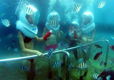 Book Bali Sea Walker Sanur online for family underwater adventure
