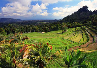 Book Besakih Mother Temple tour online with Mount Agung view