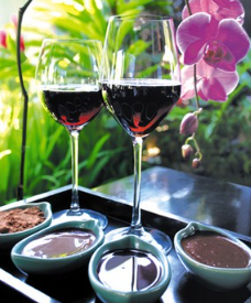 Book Cocoa and Wine spa treatment Bali at The Ulin Spa