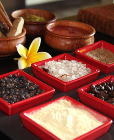 Book Cocoa and Wine spa treatment Bali at The Ulin Spa