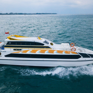 Book El Rey Fast Cruise Sanur to Nusa Penida - Suzuki 300 HP Vessel
