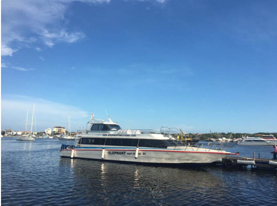 Book Elephant Fast Cruise Bali to Nusa Lembongan - 1000 HP Fast Boat