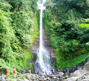 Book Gitgit Waterfall and Lovina tour online dolphin watching sunrise