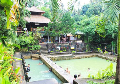 Book Gitgit Waterfall and Lovina tour online dolphin watching sunrise