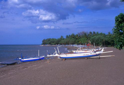 Book Gitgit Waterfall and Lovina tour online dolphin watching sunrise