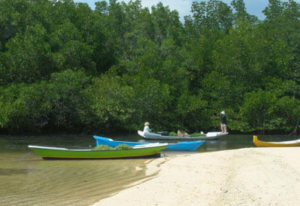 Book Lembongan Island Day Packages with Scoot Fast Cruise - Snorkeling and Glass Bottom Boat