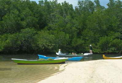 Book Lembongan Island Day Packages with Scoot Fast Cruise - Snorkeling and Glass Bottom Boat