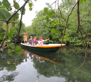Book Lembongan Island Day Packages with Scoot Fast Cruise - Snorkeling and Glass Bottom Boat