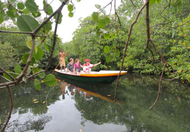 Book Lembongan Island Day Packages with Scoot Fast Cruise - Snorkeling and Glass Bottom Boat