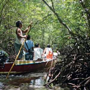 Book Lembongan Mangrove Tour by Traditional Boat - Local Guide with Bamboo Stick