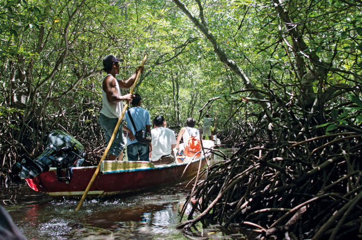 Book Lembongan Mangrove Tour by Traditional Boat - Local Guide with Bamboo Stick