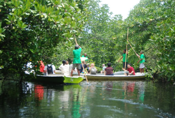 Book Lembongan Mangrove Tour by Traditional Boat - Local Guide with Bamboo Stick