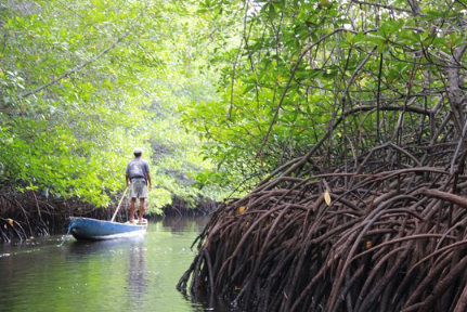 Book Lembongan Mangrove Tour by Traditional Boat - Local Guide with Bamboo Stick