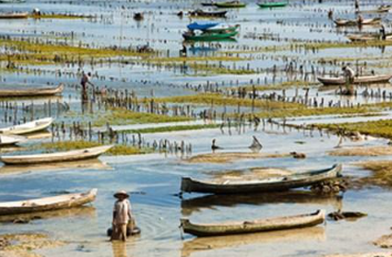 Book Lembongan One Day Package by Glory Express - Snorkeling and Island Tour