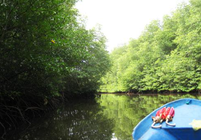 Book Lembongan One Day Package by Rocky Fast Cruise - Snorkeling Manta Bay