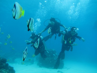 Book Lembongan Water Sport All-Inclusive Day Trip - Snorkeling and Diving