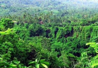 Book Lemukih Jungle Trekking Tour - Hidden Waterfall Adventure Bali