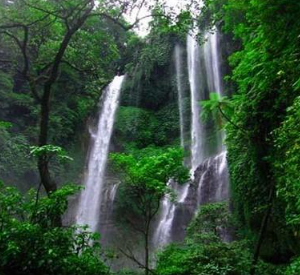 Book Lemukih Jungle Trekking Tour - Hidden Waterfall Adventure Bali