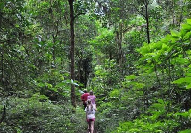 Book Lemukih Jungle Trekking Tour - Hidden Waterfall Adventure Bali