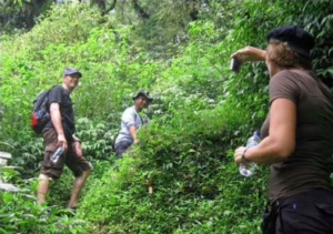 Book Lemukih Jungle Trekking Tour | Bukit Lemukih trekking price with waterfall 1 Book Lemukih Jungle Trekking Tour - Hidden Waterfall Adventure Bali