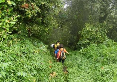 Book Lemukih Jungle Trekking Tour - Hidden Waterfall Adventure Bali