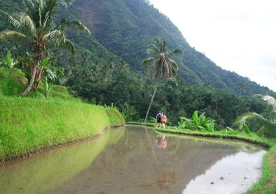 Book Lemukih Jungle Trekking Tour - Hidden Waterfall Adventure Bali