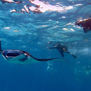 Private Snorkeling Boat Rental Nusa Penida 2026