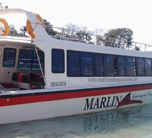 Book Marlin Fast Cruise Sanur to Mushroom Bay - 20 Minute Crossing