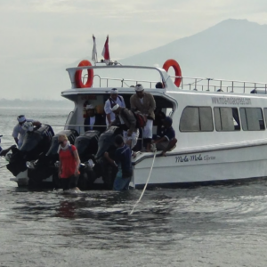 Book Mola-Mola Express Sanur to Buyuk Pier - Fast Boat Crossing